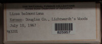 Image Associated With the Occurence
